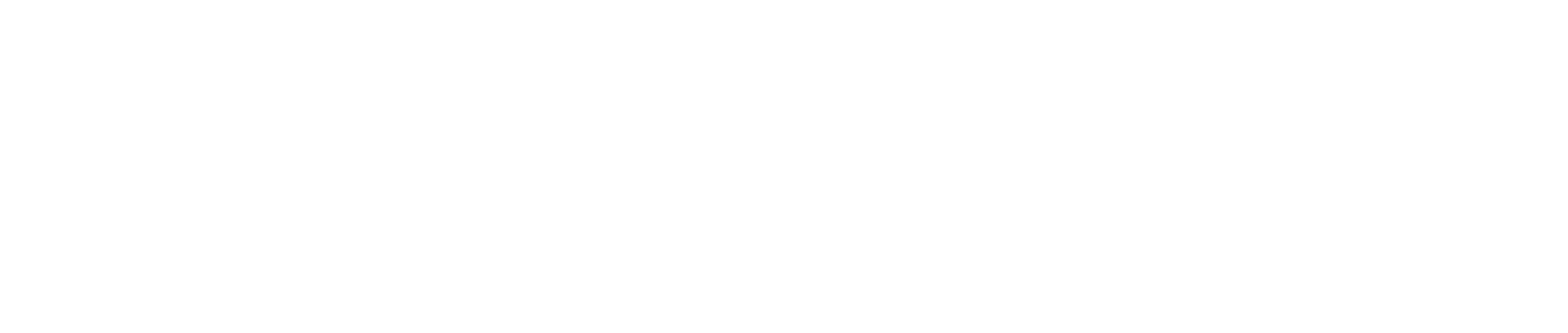 Indius Logo